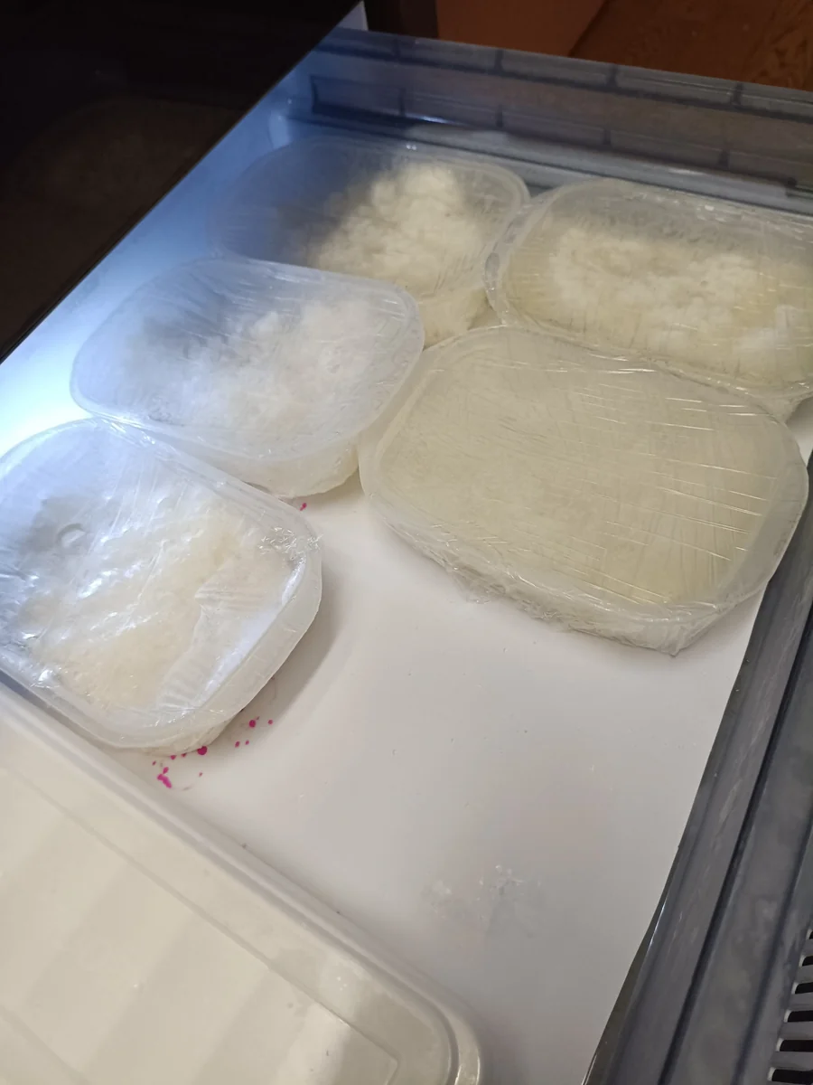 ラップをかけたご飯入り容器を冷凍庫に並べた写真