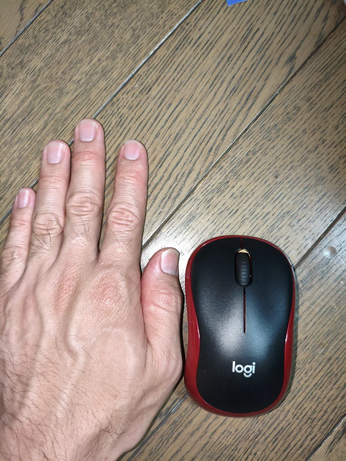 M185の横に手を並べた写真
